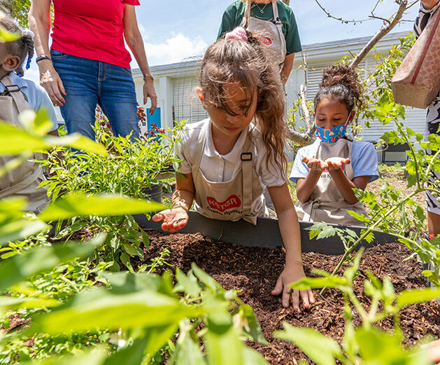 Des enfants d'âge scolaire travaillent ensemble pour planter un jardin