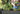 Planche de jardin surélevée Darwin en graphite 29 gallons – Keter Canada